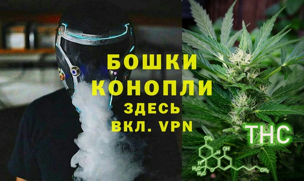 индика Верхний Тагил