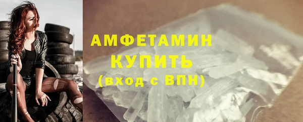 индика Верхний Тагил