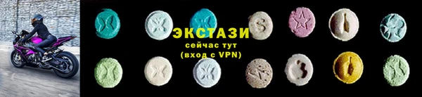 индика Верхний Тагил