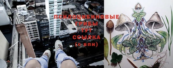 синтетический гашиш Бронницы