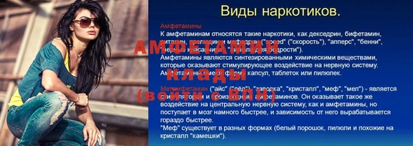 индика Верхний Тагил
