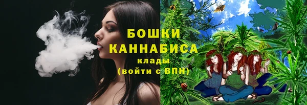 индика Верхний Тагил