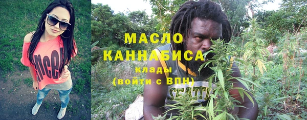 индика Верхний Тагил