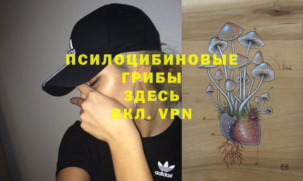 индика Верхний Тагил